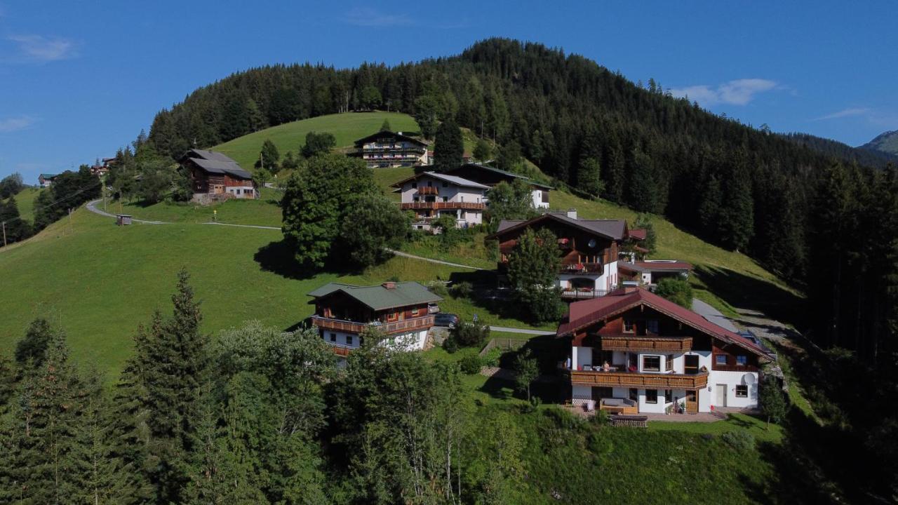 Kleinbergsonne