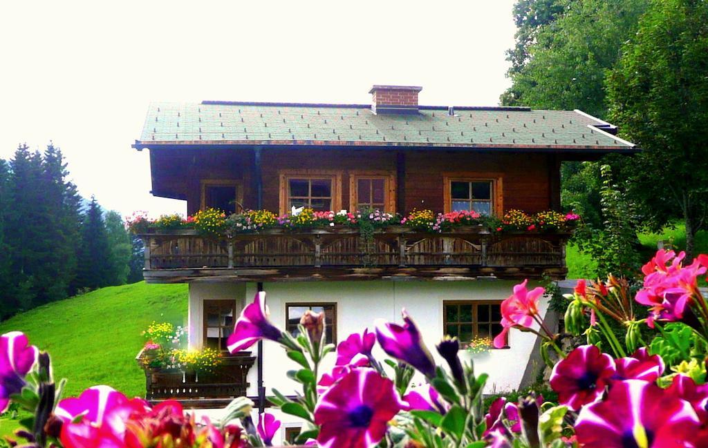 Kleinbergsonne Apartment Filzmoos